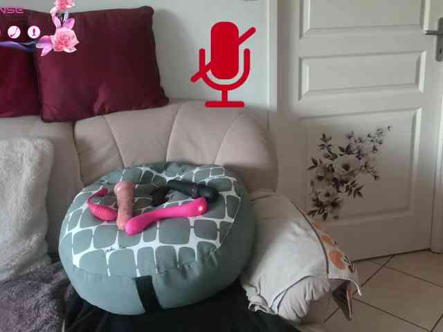 FRENCH-LISA webcam