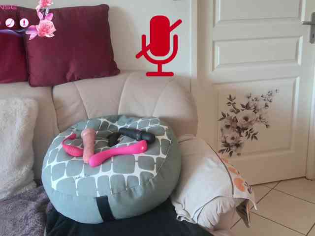 FRENCH-LISA webcam