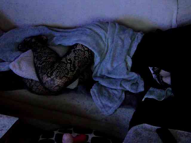FRENCH-LISA webcam