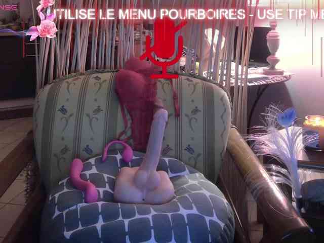 FRENCH-LISA webcam