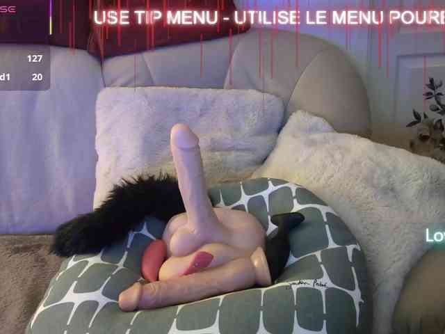 LISACAM2CAM LISACAM2CAM