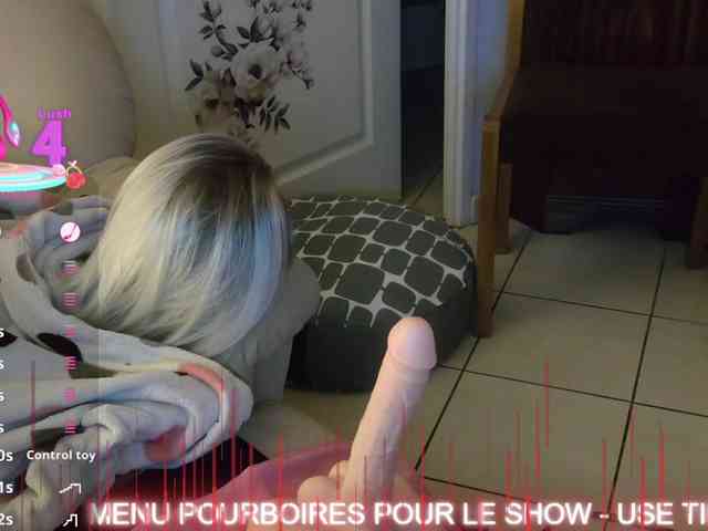 FRENCH-LISA webcam