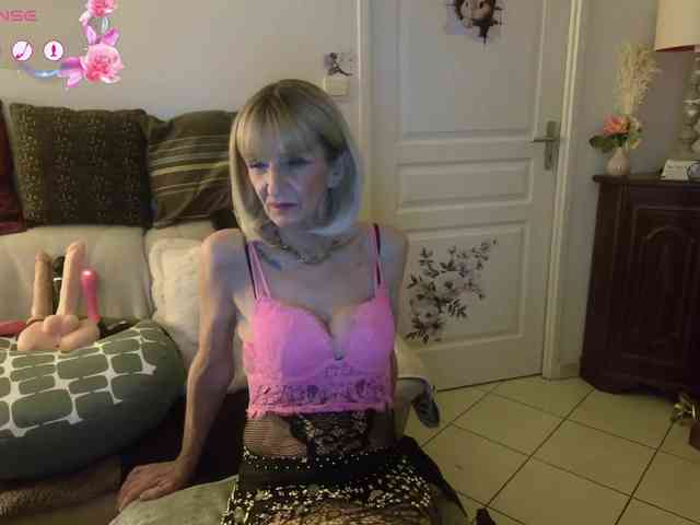 FRENCH-LISA webcam