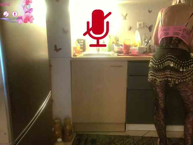 FRENCH-LISA webcam