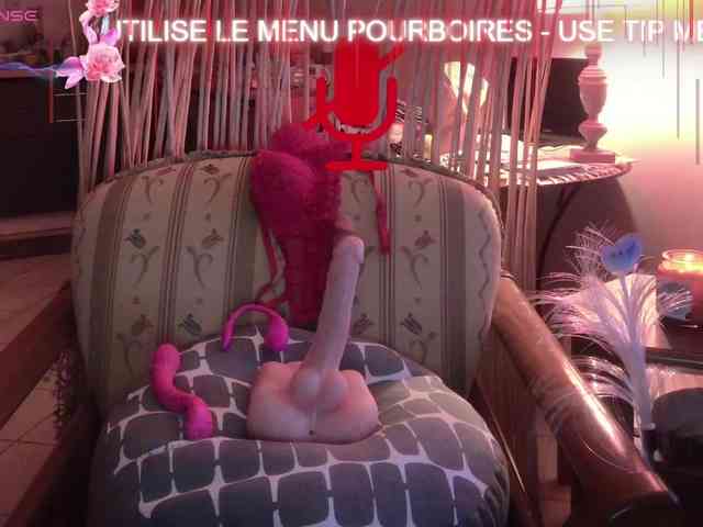 FRENCH-LISA webcam