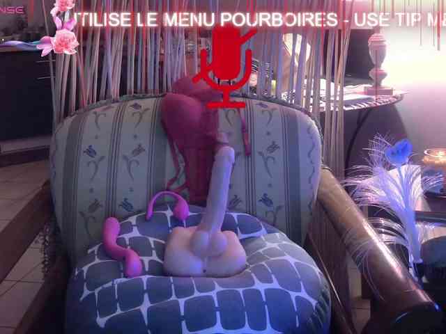 FRENCH-LISA webcam