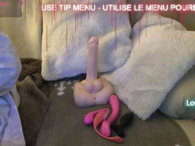 LISACAM2CAM LISACAM2CAM