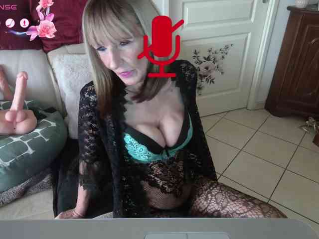 FRENCH-LISA webcam
