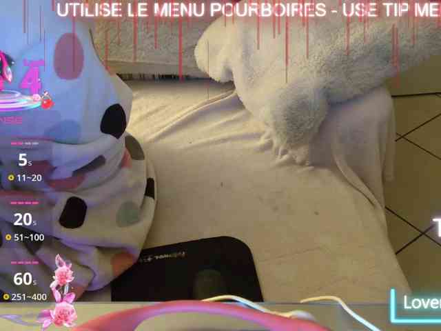 LISACAM2CAM LISACAM2CAM