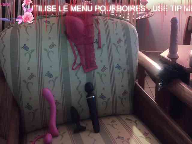 FRENCH-LISA webcam