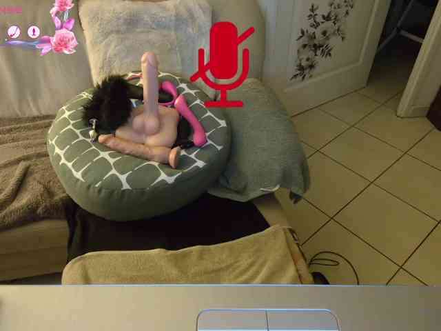 FRENCH-LISA webcam