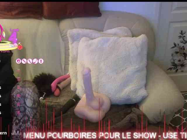 FRENCH-LISA webcam