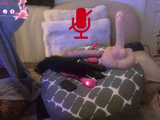 FRENCH-LISA webcam
