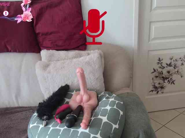 FRENCH-LISA webcam
