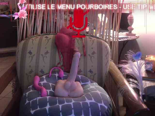 FRENCH-LISA webcam