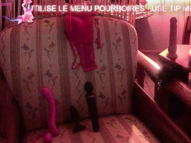 FRENCH-LISA webcam