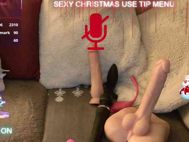 LISACAM2CAM LISACAM2CAM