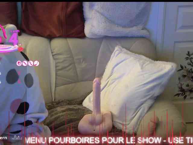 FRENCH-LISA webcam