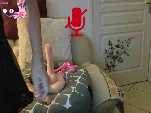 FRENCH-LISA webcam