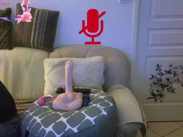 FRENCH-LISA webcam