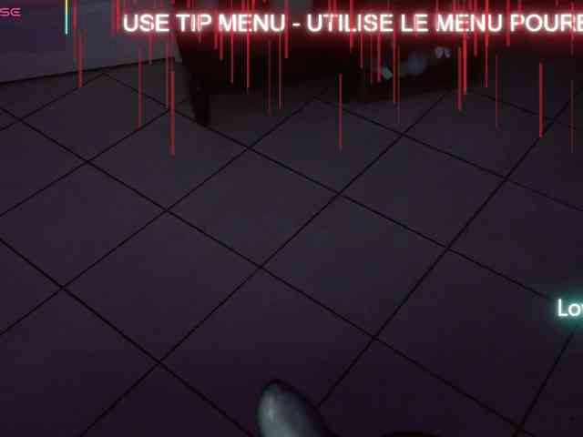 LISACAM2CAM LISACAM2CAM