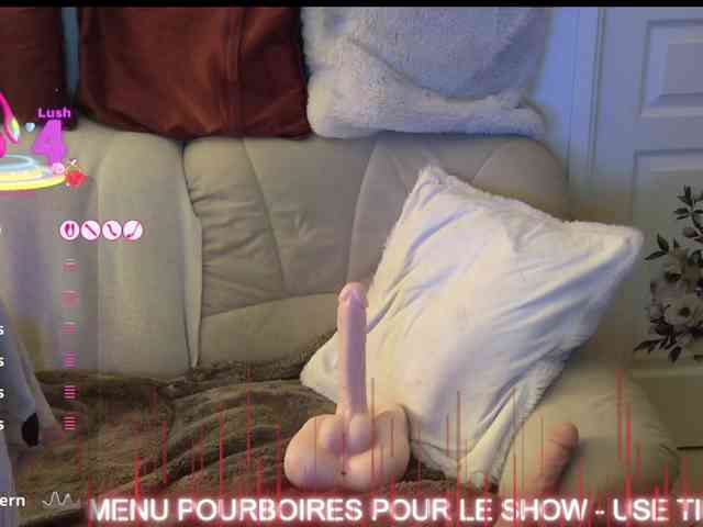 FRENCH-LISA webcam