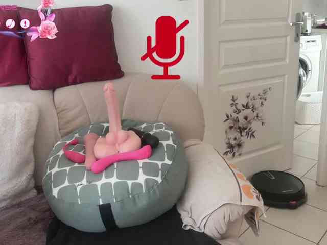 FRENCH-LISA webcam