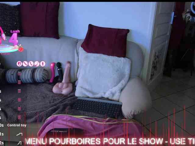 FRENCH-LISA webcam