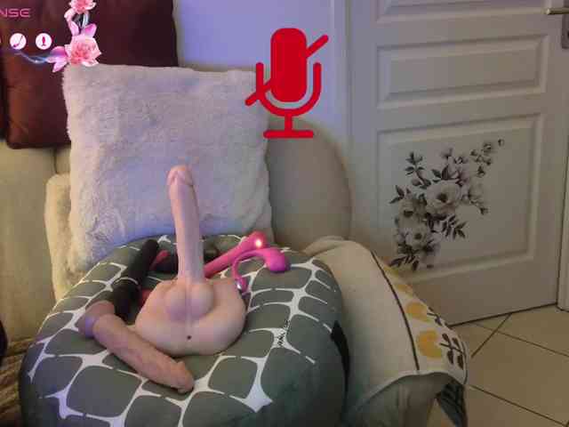 FRENCH-LISA webcam