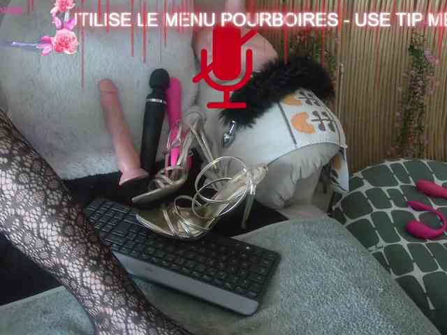 FRENCH-LISA webcam