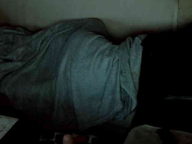 FRENCH-LISA webcam