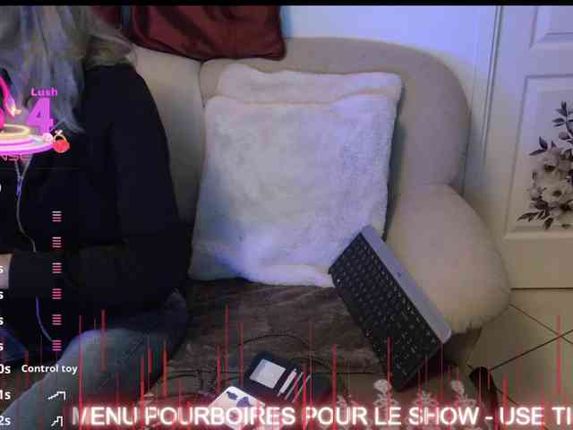 FRENCH-LISA webcam