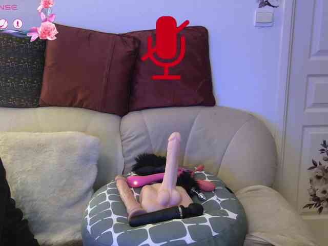 FRENCH-LISA webcam