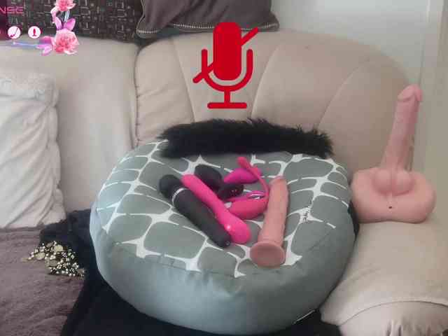 FRENCH-LISA webcam