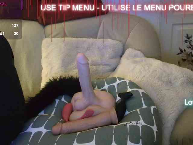 LISACAM2CAM LISACAM2CAM