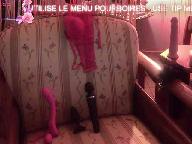 FRENCH-LISA webcam
