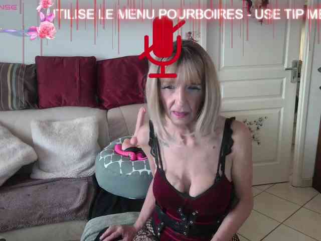 FRENCH-LISA webcam
