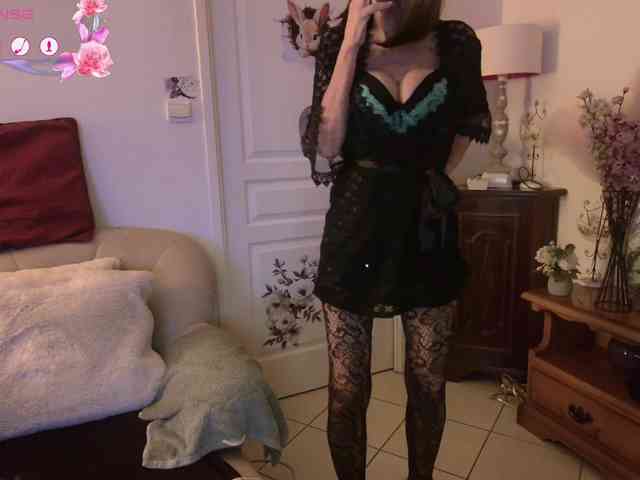 FRENCH-LISA webcam