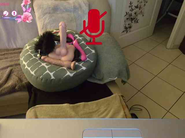 FRENCH-LISA webcam