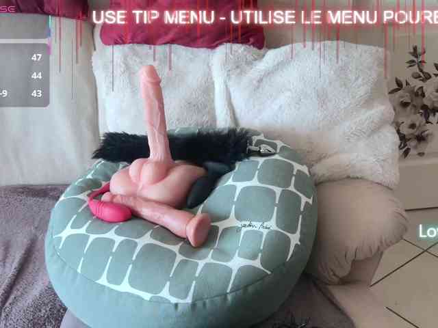 LISACAM2CAM LISACAM2CAM