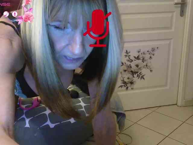 FRENCH-LISA webcam