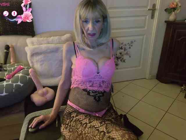 FRENCH-LISA webcam