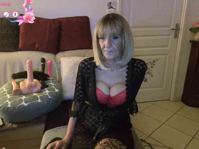 FRENCH-LISA webcam