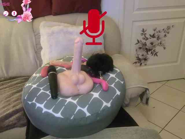 FRENCH-LISA webcam