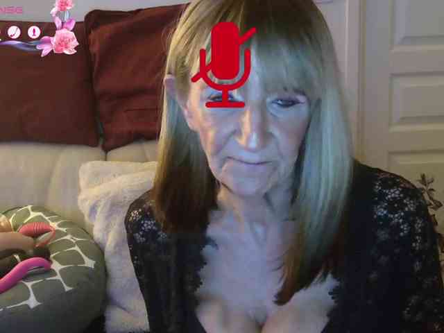 FRENCH-LISA webcam