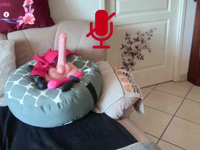 FRENCH-LISA webcam