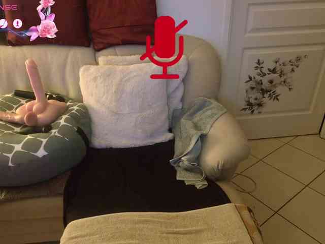 FRENCH-LISA webcam