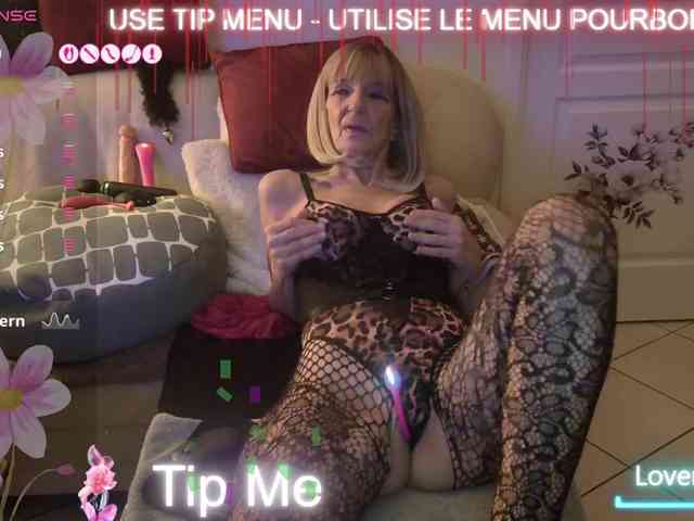 FRENCH-LISA webcam