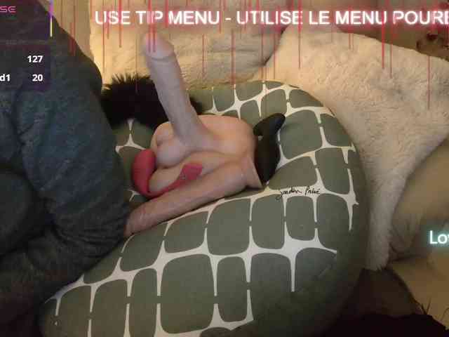 LISACAM2CAM LISACAM2CAM