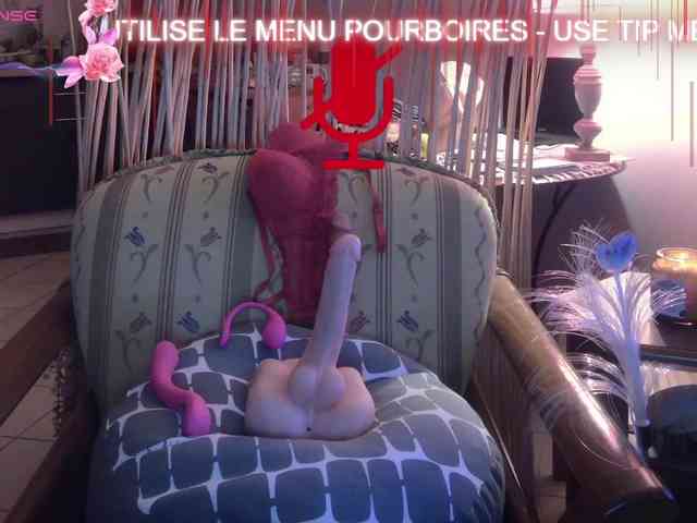 FRENCH-LISA webcam
